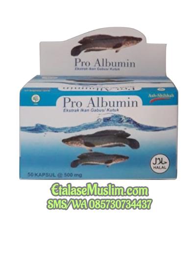 Pro Albumin (Ekstrak Ikan Gabus/Kutuk)