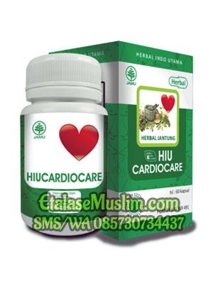 HIU CARDIOCARE (Jantung) Herbal Indo Utama