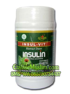 Insul-vit Ekstract Daun Insulin  Isi 60 Kapsul