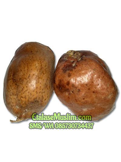 [1 Kilogram] Buah Zuriat Zuriyat Doum SINGLE / Buah Adam Hawa / Promil
