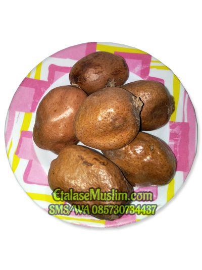 [500 gram] Buah Zuriat Zuriyat Doum SINGLE / Buah Adam Hawa / Promil