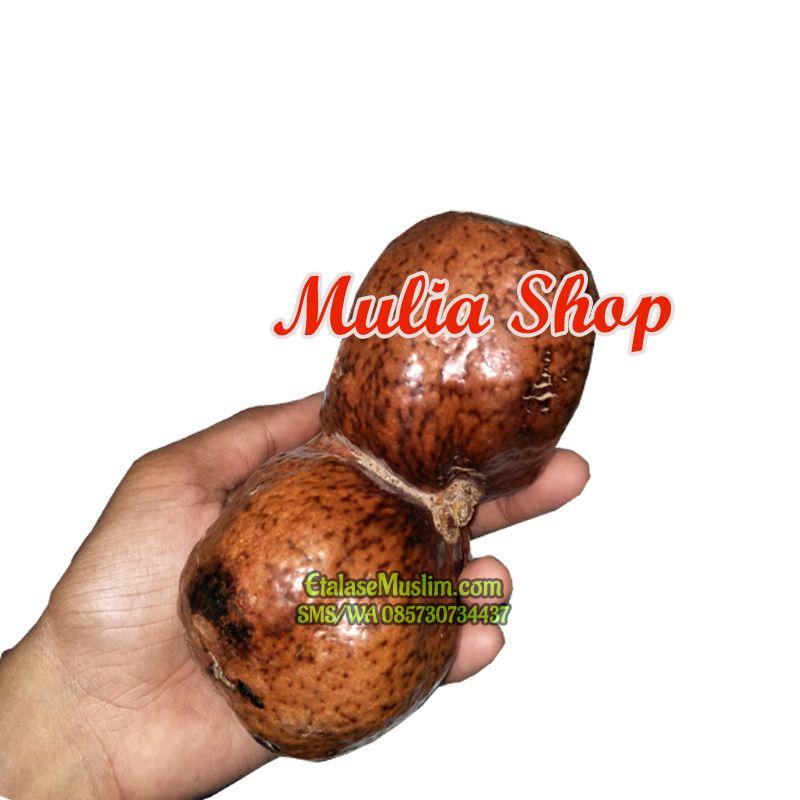 [500 gram] Zuriat Zuriyat Doum KEMBAR (Dempet Dua) / Buah Adam Hawa