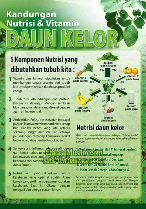 Daun Kelor Serbuk Bubuk Edelweiss 50 gram