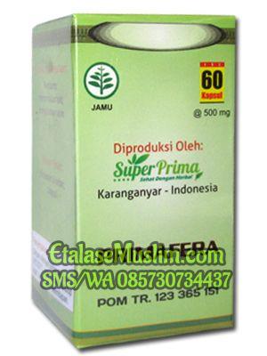 PRIMAFERA Super Prima 60 Kapsul (Kandungan Subur)