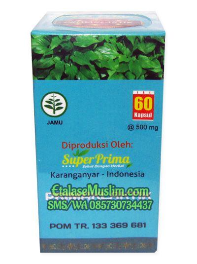 PRIMAKLATIK (Keladi Tikus) 60 Kapsul Super Prima