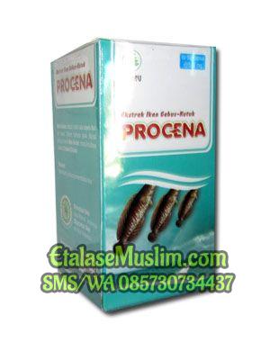PROCENA (Ekstrak Ikan Gabus-Kutuk)