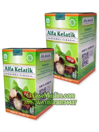 Alfa Kelatik Keladi Tikus Al Afiat â€ Herbal Penakluk Kanker â€œ