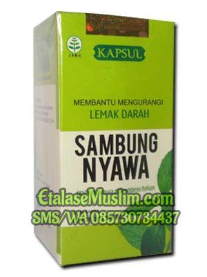 Kapsul Ekstrak Sambung Nyawa Tazakka