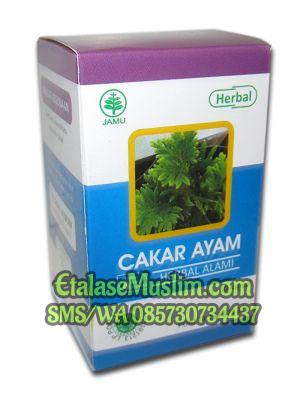 Cakar Ayam Herbal Indo Utama