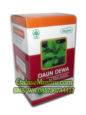 Daun Dewa Herbal Indo Utama
