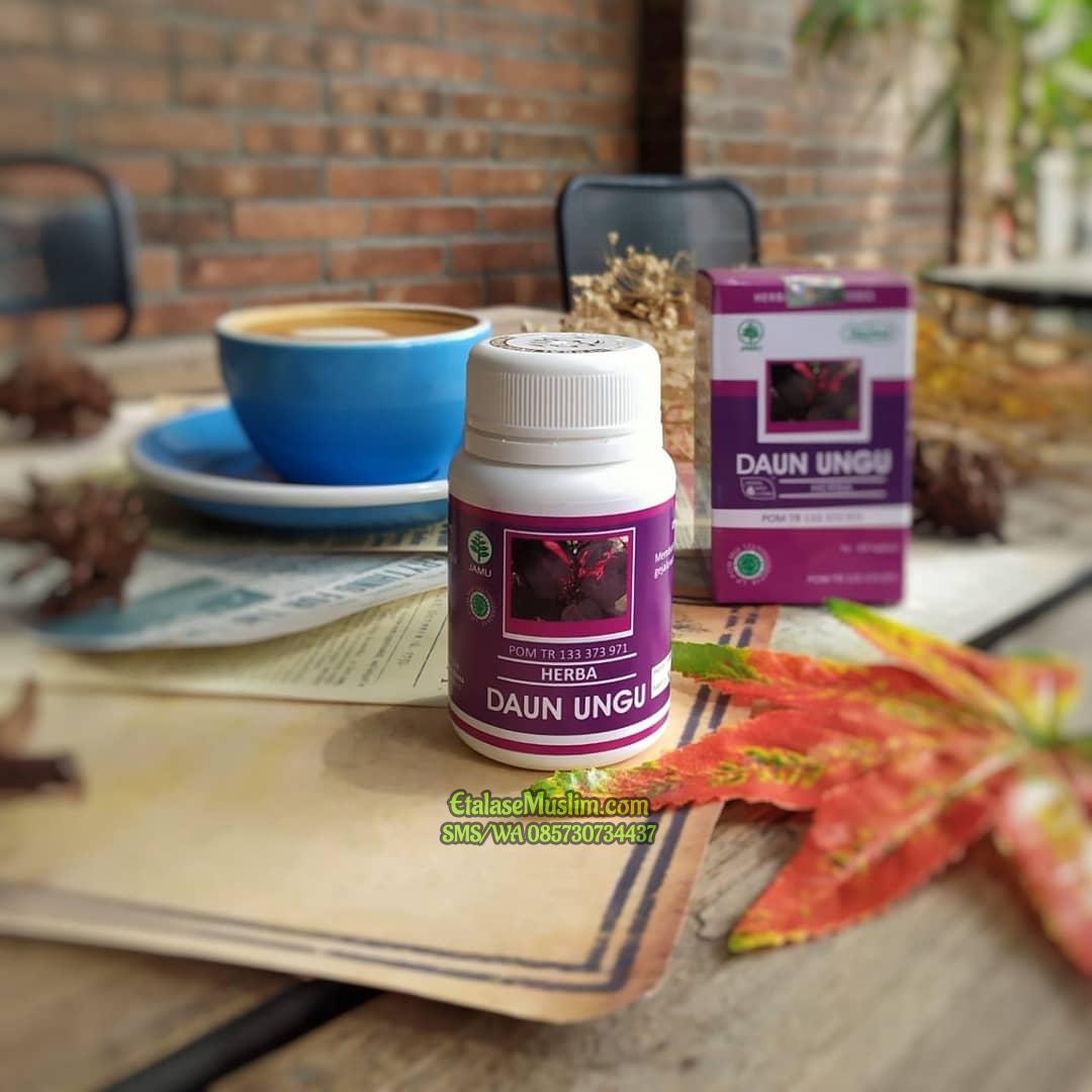 Daun Ungu Herbal Indo Utama