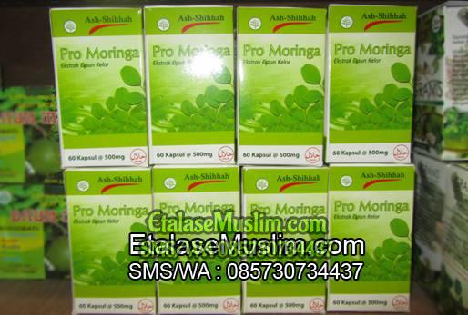 Pro Moringa (Ekstrak Daun Kelor) Ash-Shihhah