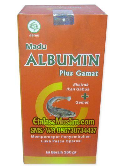 Madu Albumin Plus Gamat (Ekstrak Ikan Gabus + Gamat)