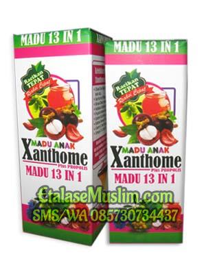 Madu Anak Xanthome plus Propolis 13 in 1