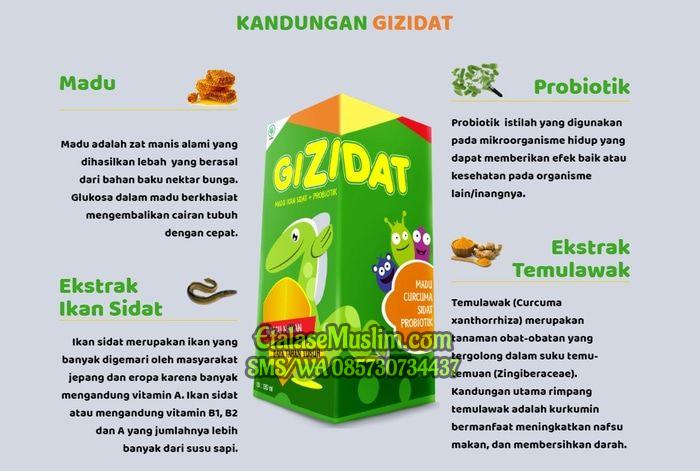 GIZIDAT Madu Ikan Sidat Multivitamin Anak