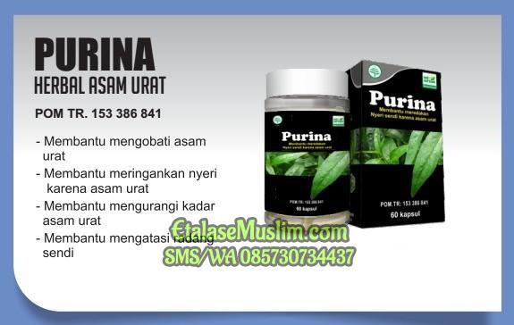 Purina 60 Kapsul Al - Afiat (Obat Herbal Asam Urat & Nyeri Sendi)