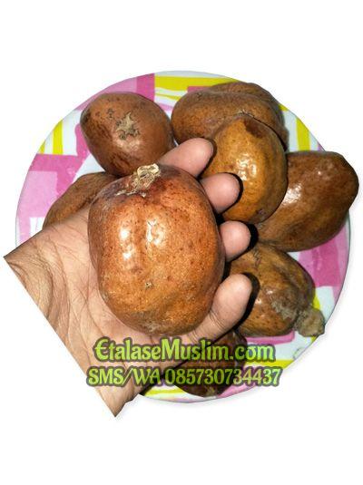 [500 gram] Buah Zuriat Zuriyat Doum SINGLE / Buah Adam Hawa / Promil