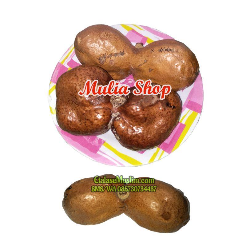 [500 gram] Zuriat Zuriyat Doum KEMBAR (Dempet Dua) / Buah Adam Hawa