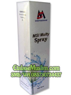 MSI Multy Spray 100 ml
