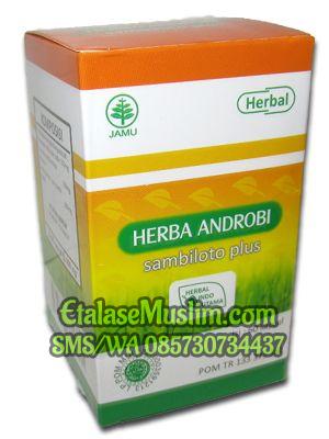 Herba Androbi  (Sambiloto plus) Herbal Indo Utama