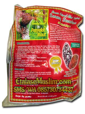 Sarang Semut Curah Rebus Asli Papua 100gr Fira Papua